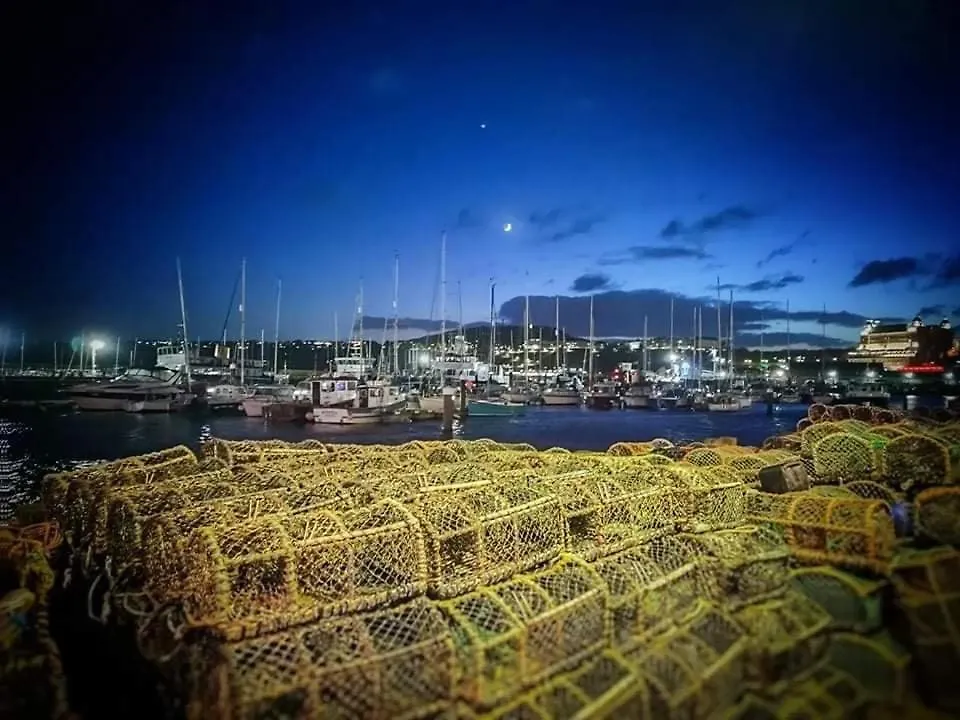 度假居 斯卡伯勒Haddock Hideaway By The Sea别墅